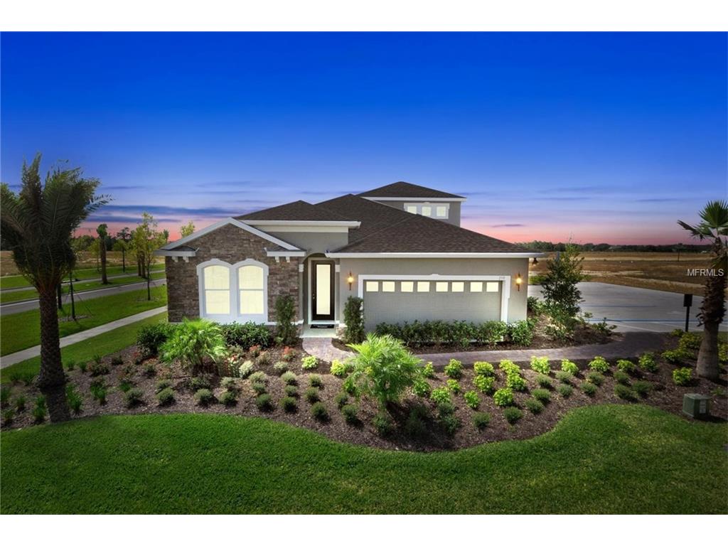 11167 Spring Point Cir, Riverview, FL 33579 photo 1