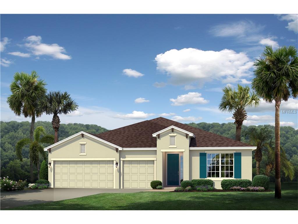 11024 Spring Point Cir, Riverview, FL 33579 photo 1