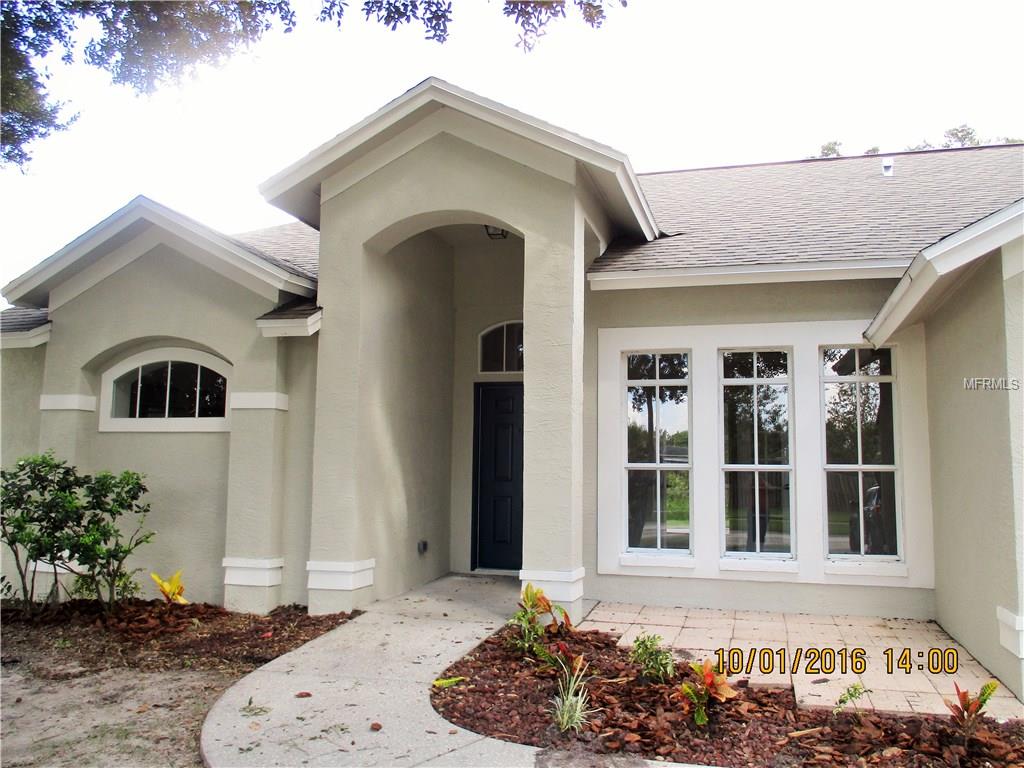 9612 Glenpointe Dr, Riverview, FL 33569 photo 1