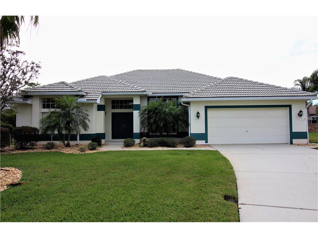 8132 Silver Mist Pl, Trinity, FL 34655 photo 1