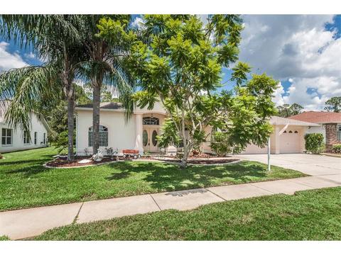 1543 Winding Willow Dr, Trinity, FL 34655 photo 1