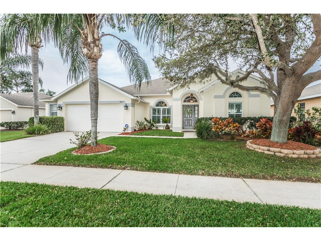 8645 Torchwood Dr, Trinity, FL 34655 photo 1