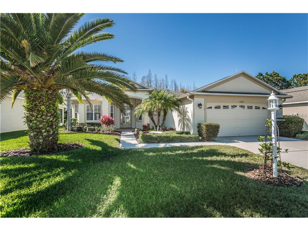 1527 Morning Rose Pl N, Trinity, FL 34655 photo 1