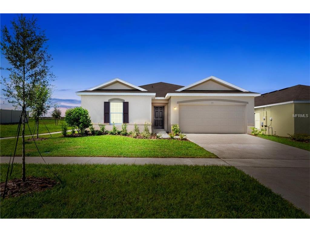 14529 Haddon Mist Dr, Wimauma, FL 33598 photo 1