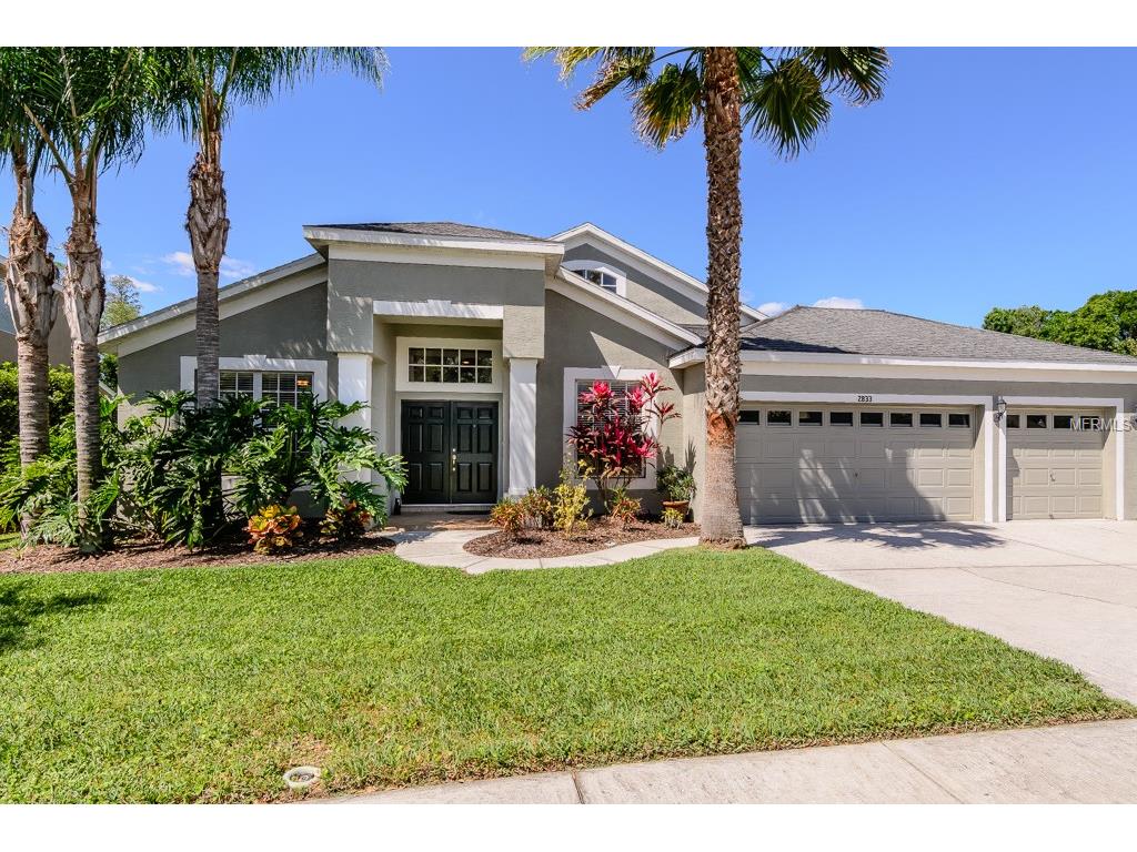2833 Brinley Dr, Trinity, FL 34655 photo 1