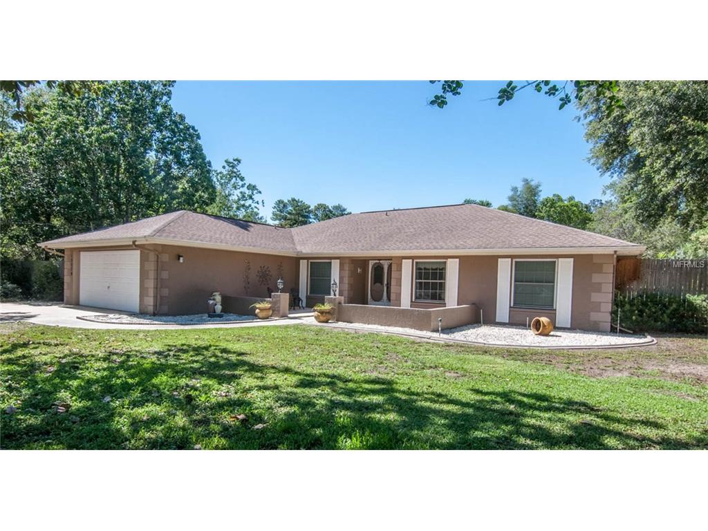13279 Whitmarsh St, Spring Hill, FL 34609 photo 1