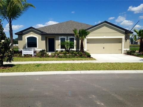 12207 Dusty Miller Pl, Riverview, FL 33579 photo 1