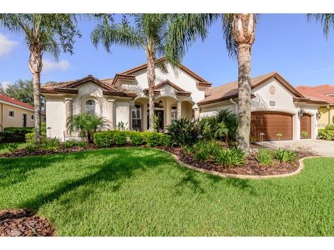 1531 El Pardo Dr, Trinity, FL 34655 photo 1