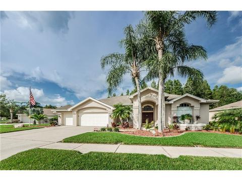 1210 Maravista Dr, Trinity, FL 34655 photo 1