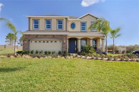 1143 Garrett Gilliam Dr, Ocoee, FL 34761 photo 1
