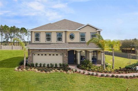 1211 Garrett Gilliam Dr, Ocoee, FL 34761 photo 1