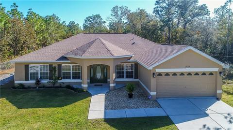 18194 Macassar Rd, Weeki Wachee, FL 34614 photo 1