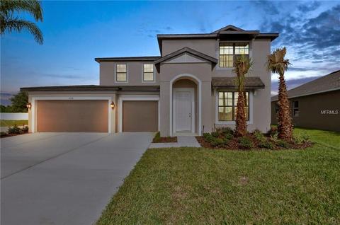 11119 Spring Point Cir, Riverview, FL 33579 photo 1