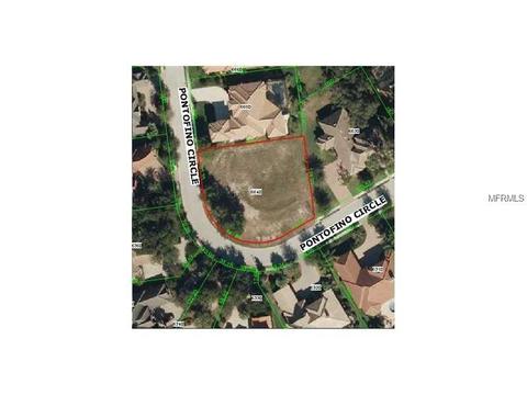 10451 Pontofino Cir, Trinity, FL 34655 photo 1