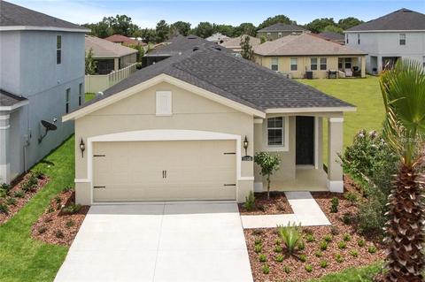 12209 Blue Pacific Dr, Riverview, FL 33579 photo 1
