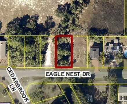 3605 Eagle Nest Dr, Hernando Beach, FL 34607 photo 1