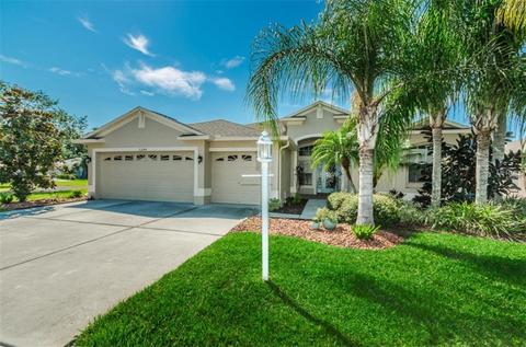 11244 Wedgemere Dr, Trinity, FL 34655 photo 1
