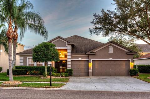 1620 Sweetspire Dr, Trinity, FL 34655 photo 1