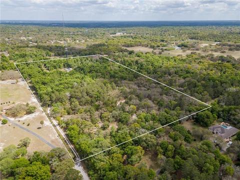 11112 Patrick Ave, Hudson, FL 34669 photo 1