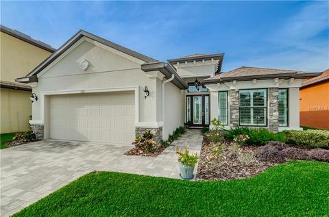 1021 Ketzal Dr, Trinity, FL 34655 photo 1