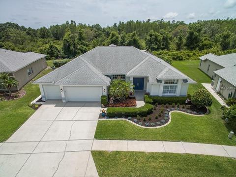 1013 Arlinbrook Dr, Trinity, FL 34655 photo 1