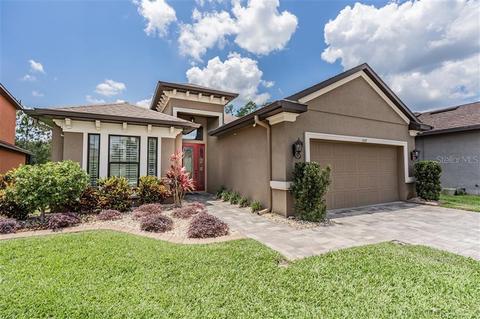 1027 Ketzal Dr, Trinity, FL 34655 photo 1
