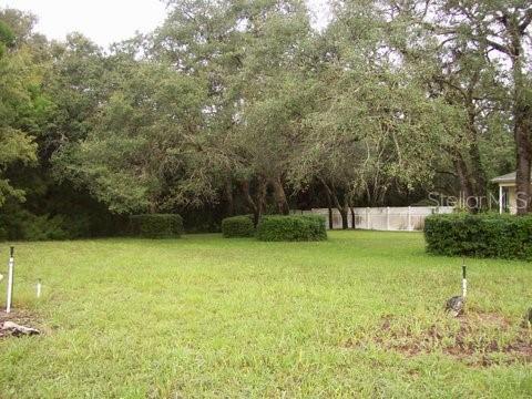 9299 County Line Rd, Spring Hill, FL 34608 photo 1