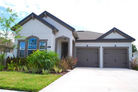 12217 Streambed Dr, Riverview, FL 33579 photo 1