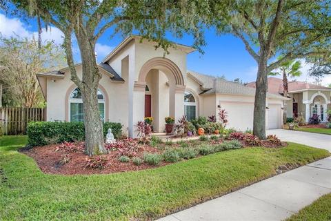 19217 Wind Dancer St, Lutz, FL 33558 photo 1
