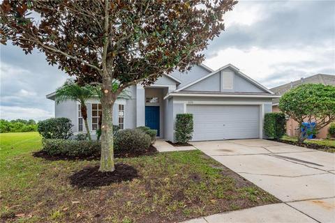 11126 Rodeo Ln, Riverview, FL 33579 photo 1