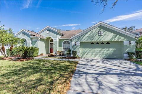 8818 Torchwood Dr, Trinity, FL 34655 photo 1