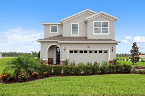 12113 Blue Pacific Dr, Riverview, FL 33579 photo 1