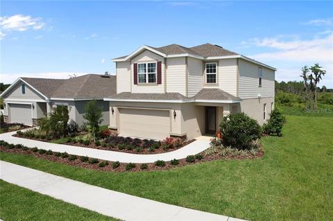 11612 Gold Dust Ct, Riverview, FL 33579 photo 1