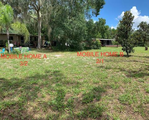 32009 State Road 44, Eustis, FL 32736 photo 1