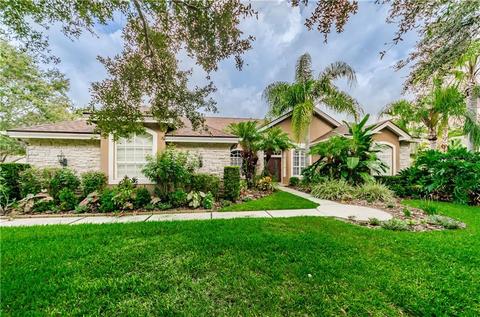 19202 Pristine Pl, Lutz, FL 33558 photo 1