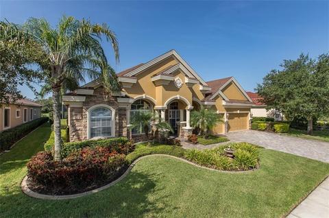 1515 El Pardo Dr, Trinity, FL 34655 photo 1