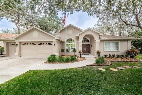8344 Kabardin Ct, Trinity, FL 34655 photo 1