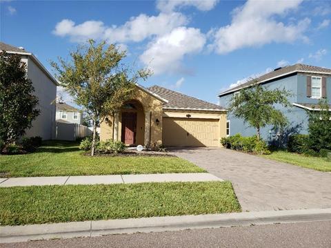 18758 Deer Tracks Loop, Lutz, FL 33558 photo 1