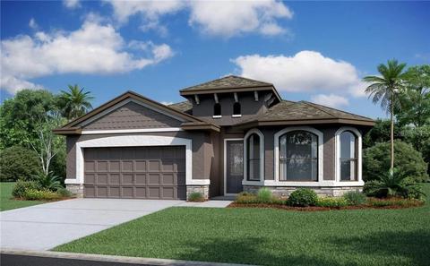 34080 Evergreen Hl, Wesley Chapel, FL 33545 photo 1