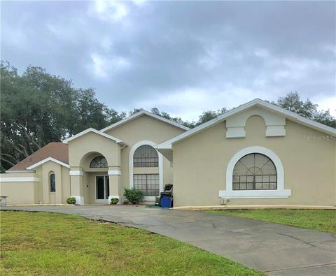 18314 Treehaven Dr, Hudson, FL 34667 photo 1