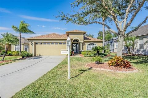 12107 Broadgreen Pl, Trinity, FL 34655 photo 1