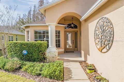 1043 Sweet Jasmine Dr, Trinity, FL 34655 photo 1