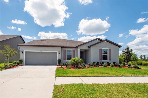 11673 Brighton Knoll Loop, Riverview, FL 33579 photo 1