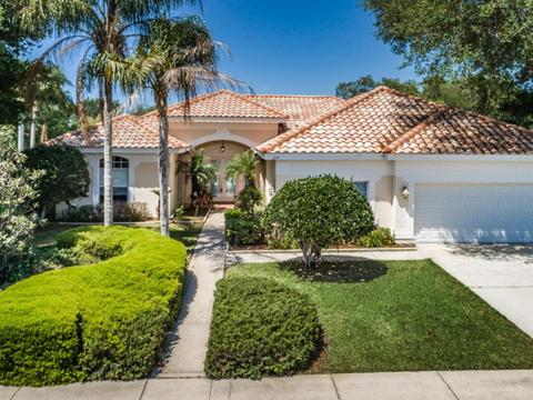 1215 Hagen Dr, Trinity, FL 34655 photo 1
