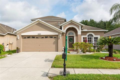 10635 Firebrick Ct, Trinity, FL 34655 photo 1