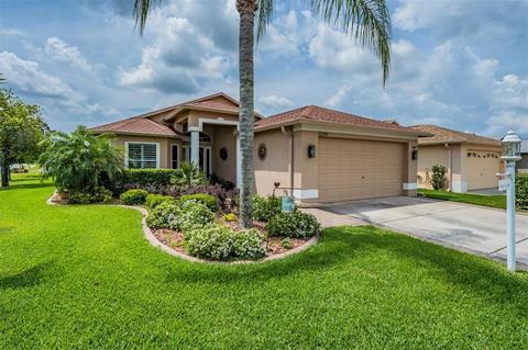 12154 Broadgreen Pl, Trinity, FL 34655 photo 1