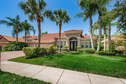 10538 Garda Dr, Trinity, FL 34655 photo 1