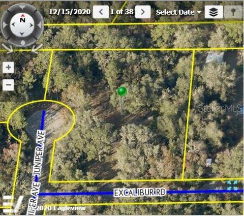 7166 Juniper Ave, Webster, FL 33597 photo 1