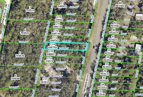 8007 Treiman Blvd, Webster, FL 33597 photo 1