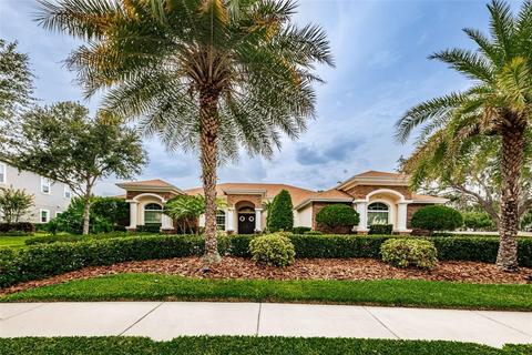9710 Milano Dr, Trinity, FL 34655 photo 1